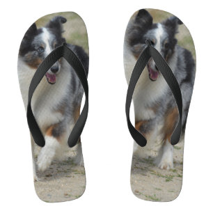 Blue Merle Australian Shepherd Flip Flops