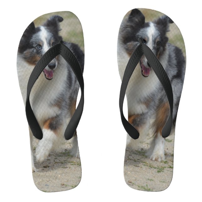 Blue Merle Australian Shepherd Flip Flops (Footbed)