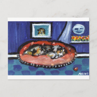 Blue Merle Australian Shepherd in bed Postcard