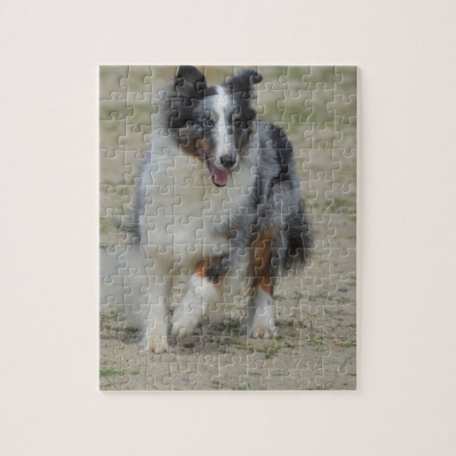 Blue Merle Australian Shepherd Jigsaw Puzzle (Vertical)