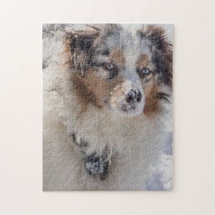 Blue Merle Australian Shepherd Jigsaw Puzzle