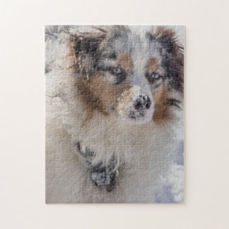 Blue Merle Australian Shepherd Jigsaw Puzzle