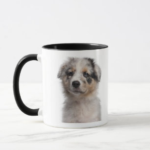 Blue Merle Australian Shepherd puppy close-up Mug