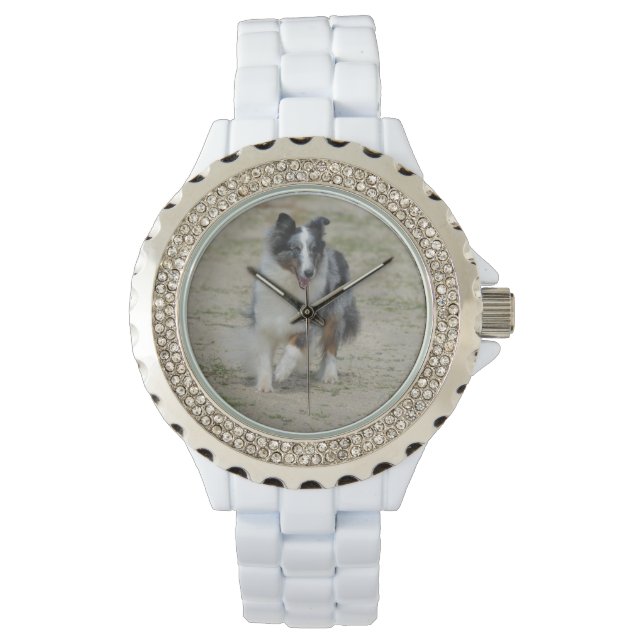 Blue Merle Australian Shepherd Watch (Front)