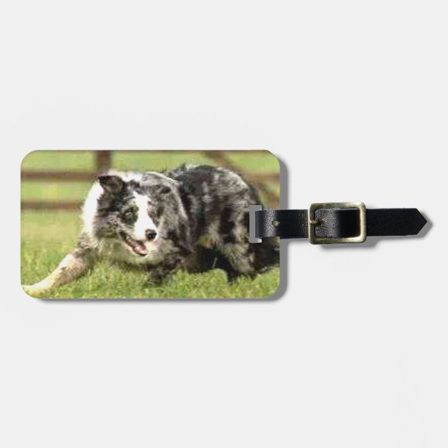 Blue Merle Border Collie Joe~Luggage Tag (Front Horizontal)