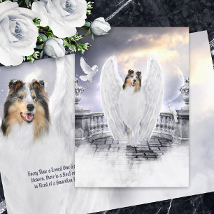 Blue Merle Collie Angel Heaven - Pet Loss Sympathy Card