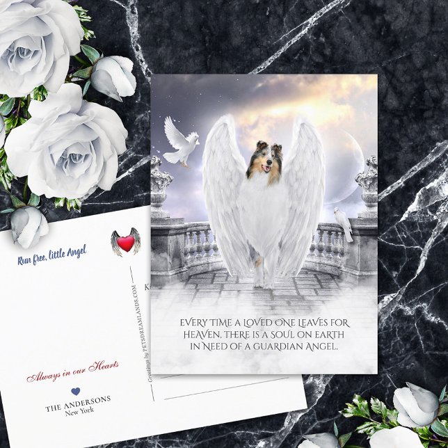 Blue Merle Collie Angel Heaven - Pet Loss Sympathy Postcard (Creator Uploaded)
