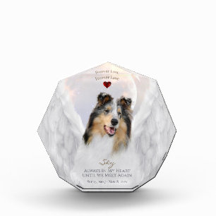 Blue Merle Collie Angel Portrait - Pet Memorial Photo Block