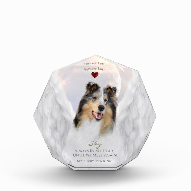 Blue Merle Collie Angel Portrait - Pet Memorial Photo Block (Front)