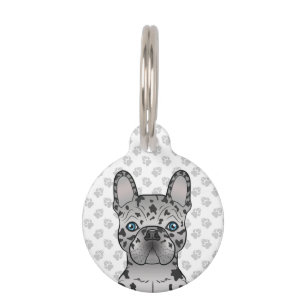 Blue Merle French Bulldog / Frenchie & Pet's Info Pet Tag
