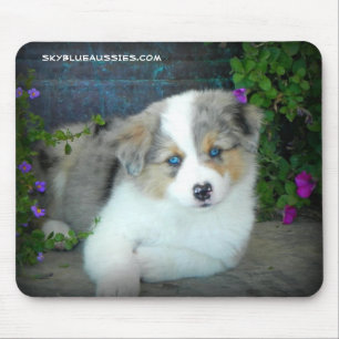 Blue Merle Puppy Mouse Pad