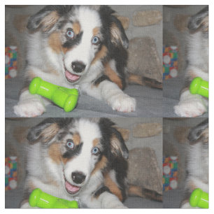 blue merle puppy.png fabric