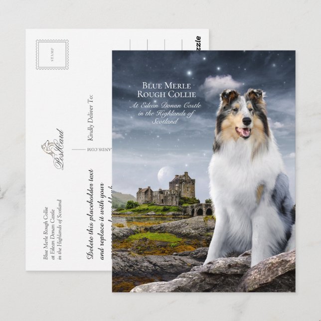 Blue Merle Rough Collie at Eilean Donan Castle - Postcard (Front/Back)