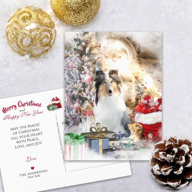 Blue Merle Rough Collie & Kitty, Magic Christmas - Postcard (Creator Uploaded)