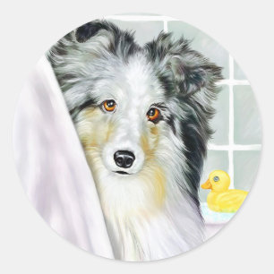 Blue Merle Sheltie Bath Classic Round Sticker