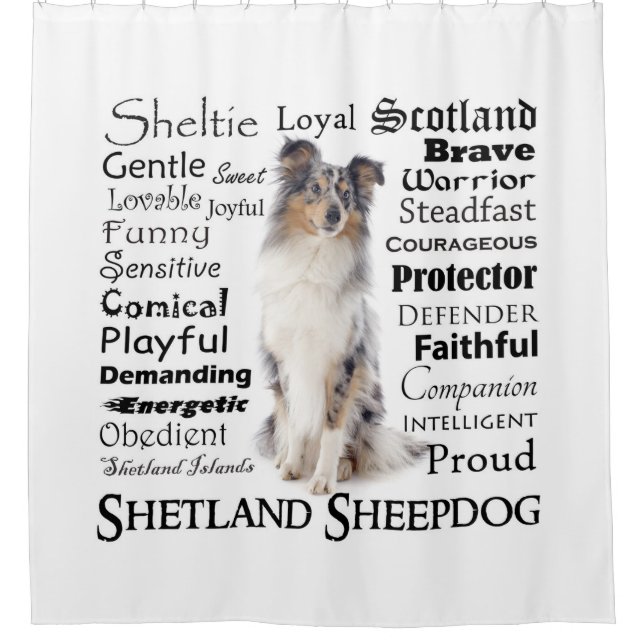 Blue Merle Sheltie Traits Shower Curtain (Front)