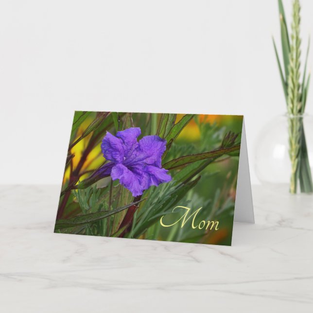 Blue Mexican Petunia Flower Mother's Day Card (Front)