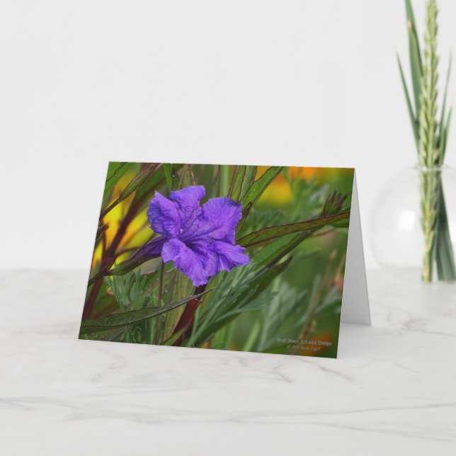 Blue Mexican Petunia Flower (Ruellia brittoniana) Card (Front)