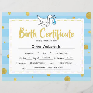 Blue Milestone Certificate Baby Birth Certificate
