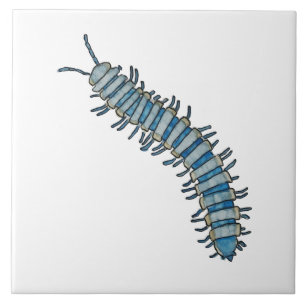 Blue millipede tile