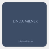 Blue minimal simple business