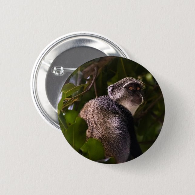 Blue monkey, Zanzibar 6 Cm Round Badge (Front & Back)