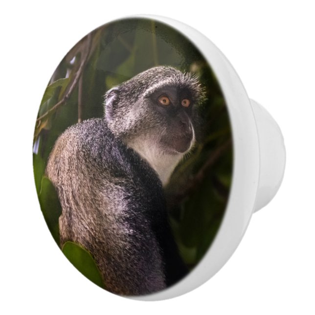 Blue monkey, Zanzibar Ceramic Knob (Right)