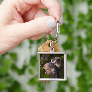 Blue monkey, Zanzibar Key Ring