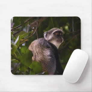 Blue monkey, Zanzibar Mouse Mat
