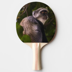 Blue monkey, Zanzibar Ping Pong Paddle
