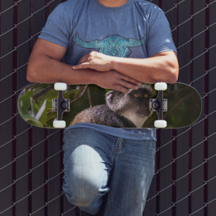 Blue monkey, Zanzibar Skateboard