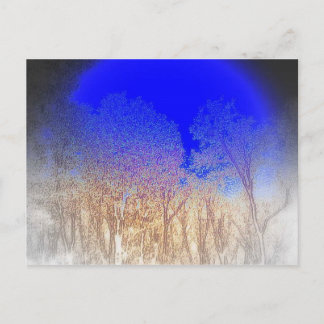 Blue Moon Baby Postcard