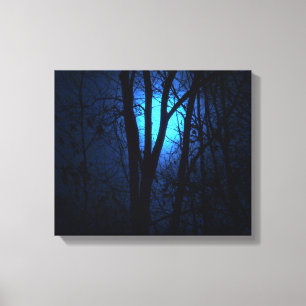 Blue Moon! Canvas Print