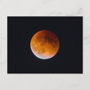 Blue Moon Lunar Eclipse Washington State Postcard