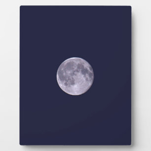 Blue Moon Plaque