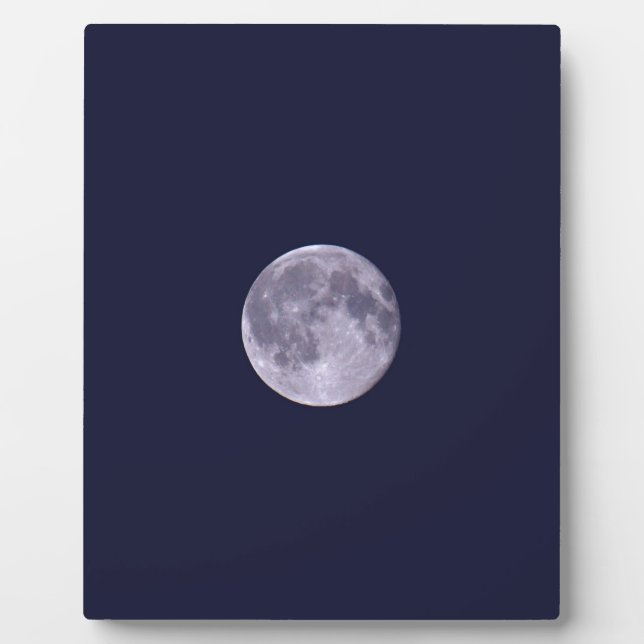 Blue Moon Plaque (Front)