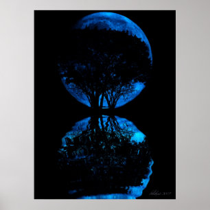Blue Moon Reflected Poster