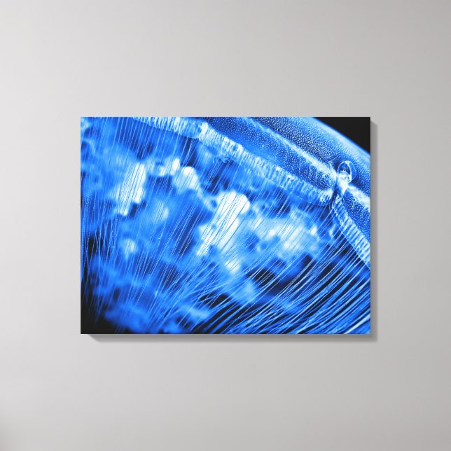 Blue Moon Rising Canvas Print (Front)