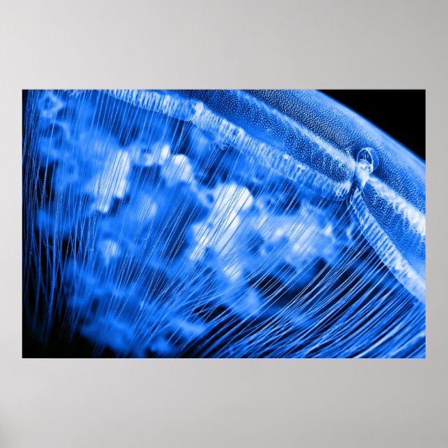 Blue Moon Rising Poster (Front)