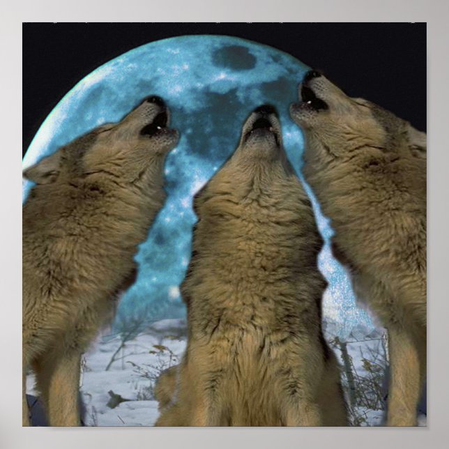 BLUE MOON WOLVES HOWLING CANVAS PRINT (Front)
