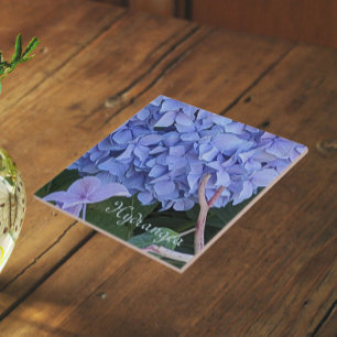 Blue Mophead Hydrangea Bloom Floral Tile