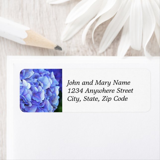 Blue Mophead Hydrangea Floral Address (Insitu)