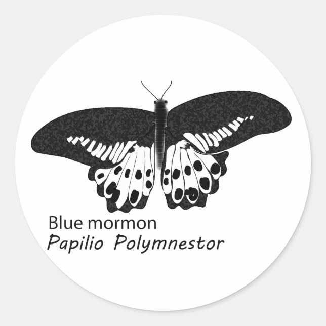 Blue mormon butterfly is a butterfly speciescan  classic round sticker (Front)