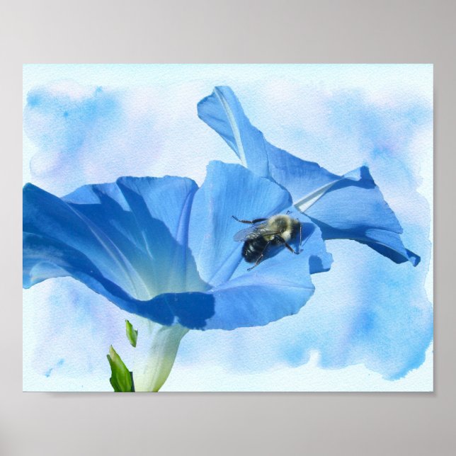 Blue Morning Glory and Bumblebee Poster (Front)