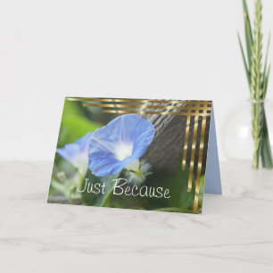 Blue Morning Glory - blank inside Card