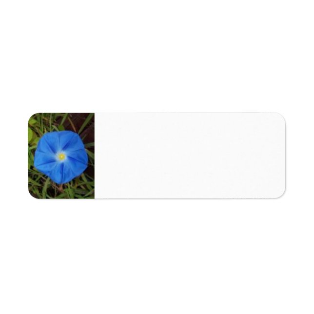 Blue Morning Glory Flower Label (Front)