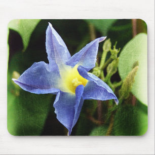Blue Morning Glory Flower Mouse Mat