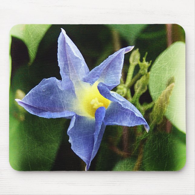 Blue Morning Glory Flower Mouse Mat (Front)