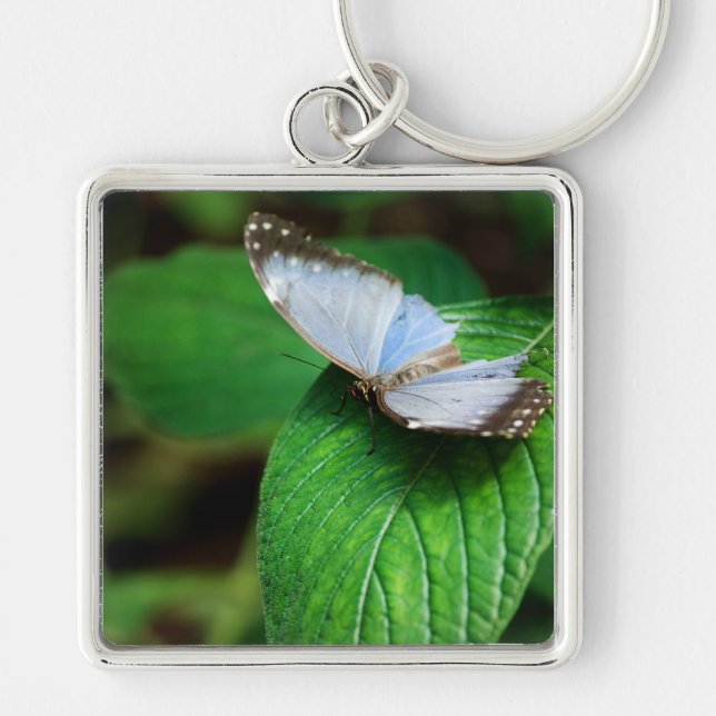Blue Morpho 112 Keychain (Front)