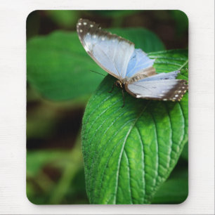Blue Morpho 112 Mousepad